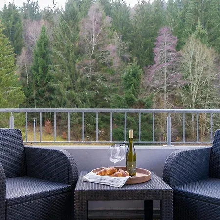 Rita - Atemberaubenden Wasserfaelle Triberg im Schwarzwald Exterior photo